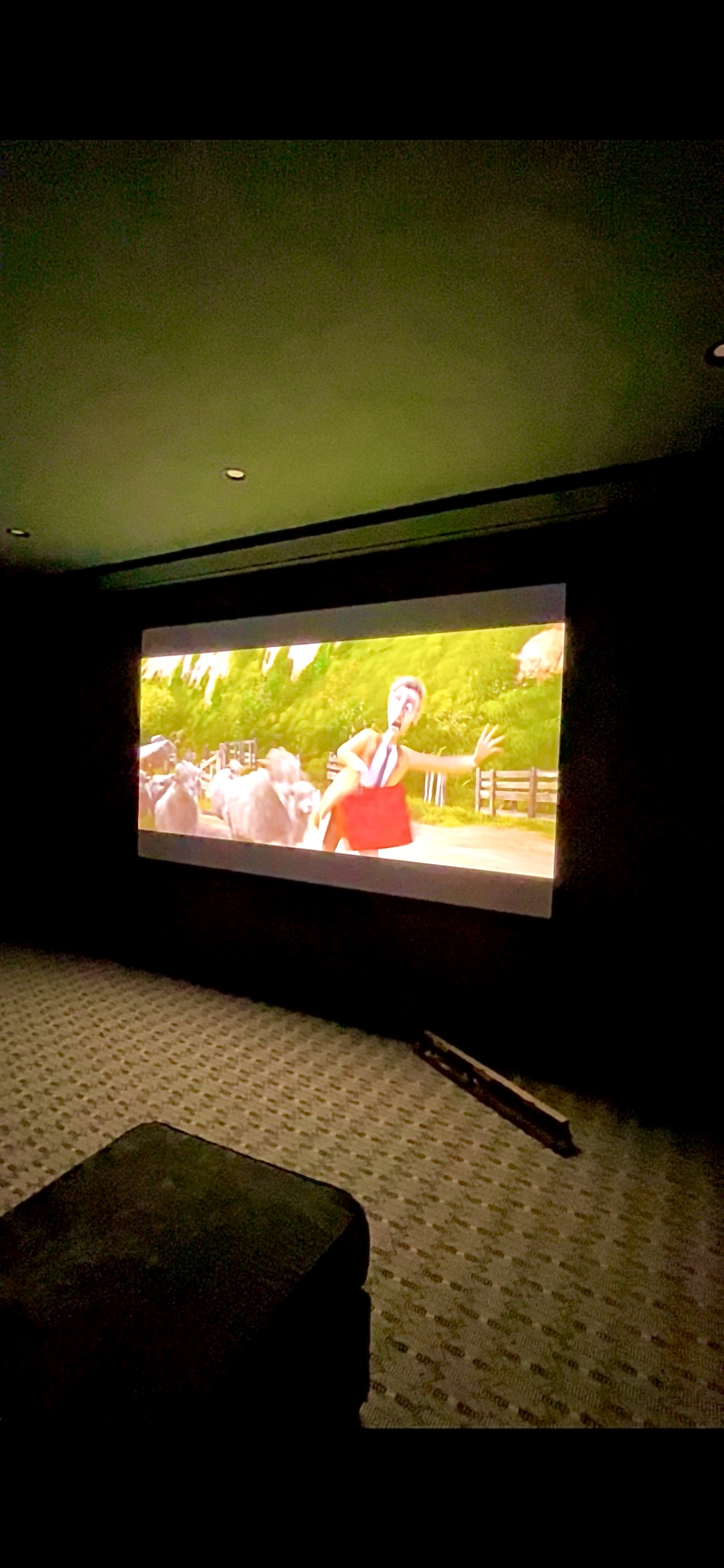 Dedicated home theater with lights off