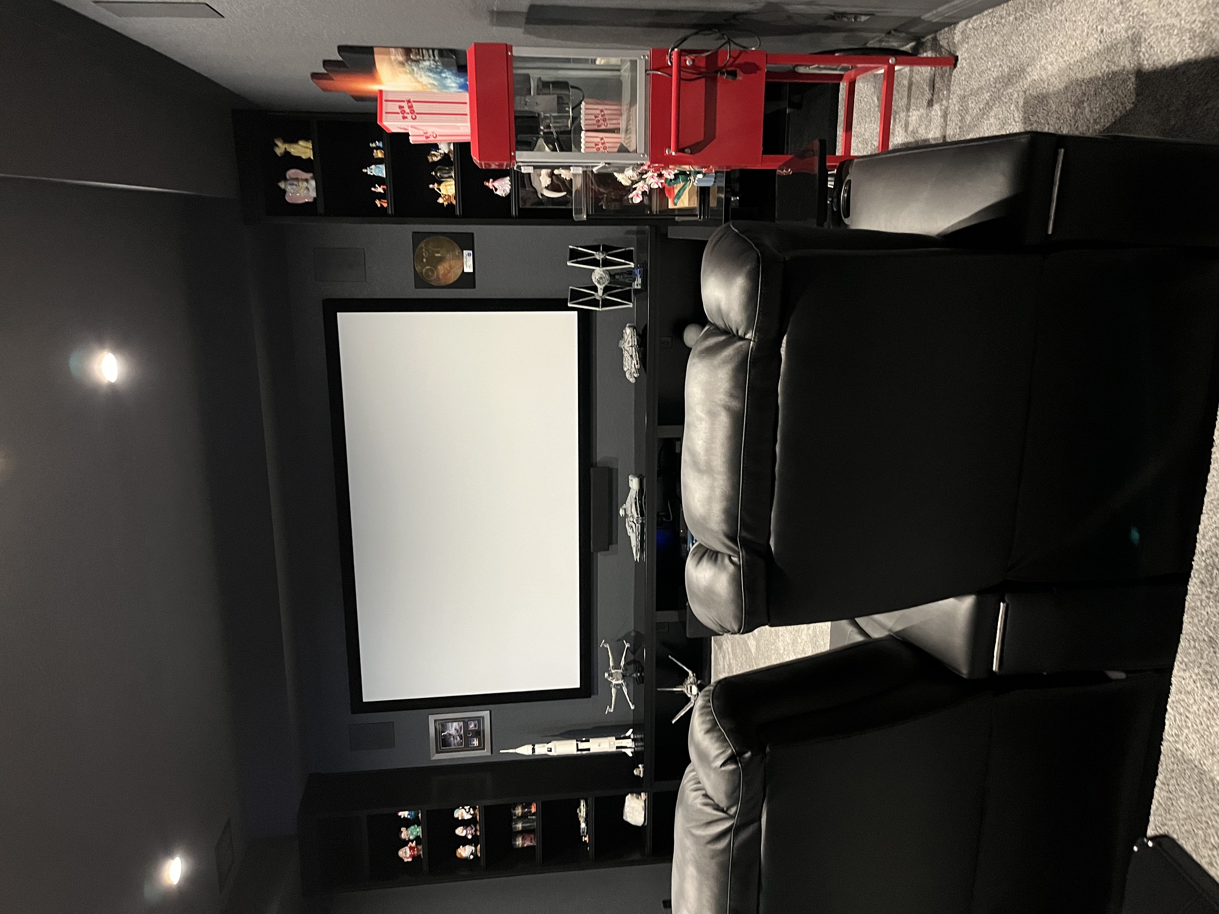 View from rear of Star Wars dedicated home theater