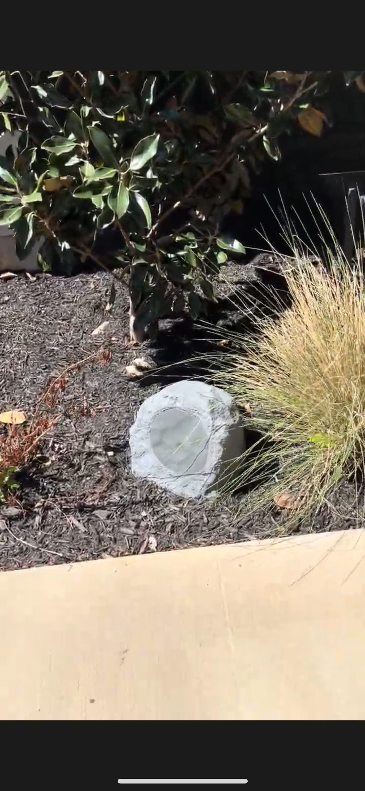 Landscape rock speaker blending with yard San Antonio