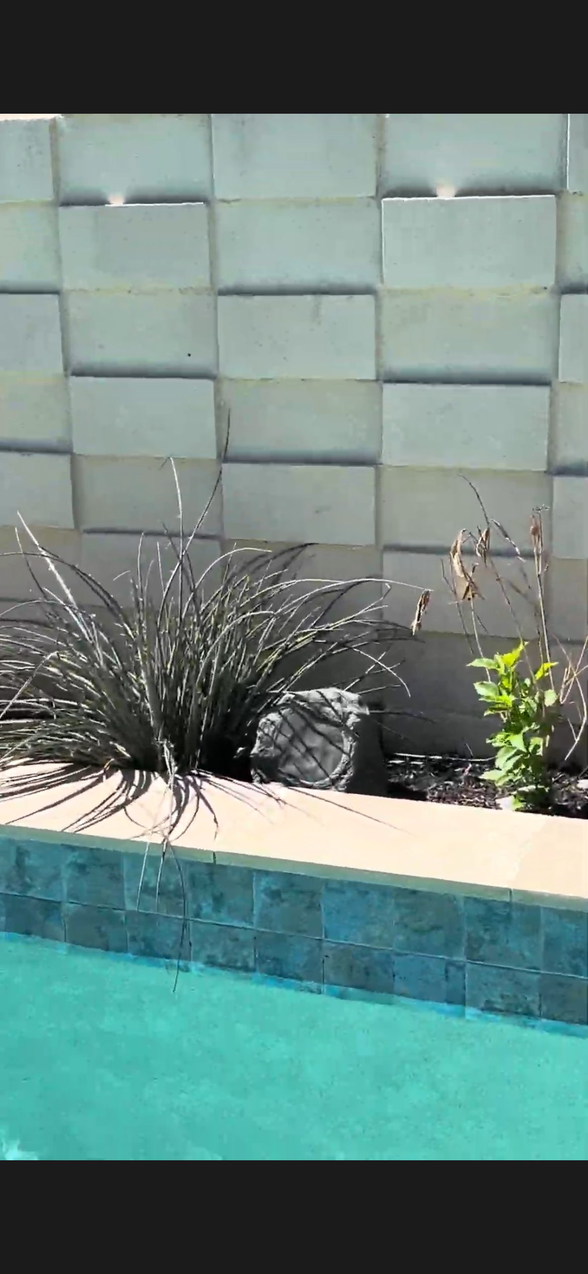 Rock speaker positioned behind pool San Antonio TX