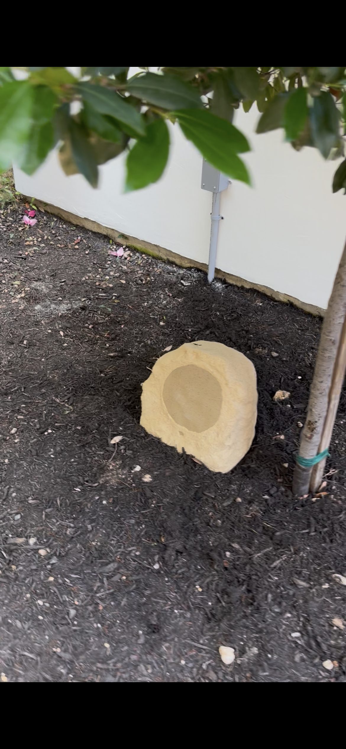 Rock speaker close-up San Antonio TX outdoor audio